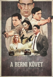 A berni követ