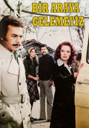 Bir Araya Gelemeyiz