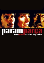 Amores perros
