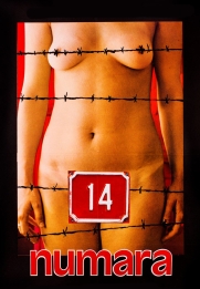 14 Numara