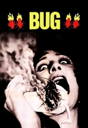 Bug