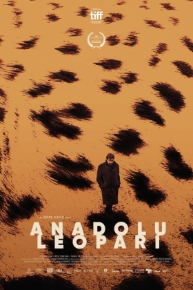 Anadolu Leopari