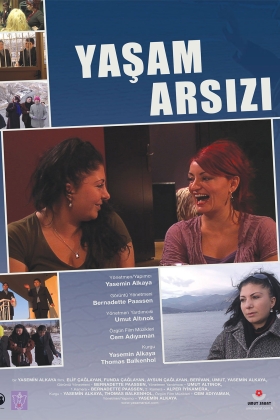 Yaşam Arsızı