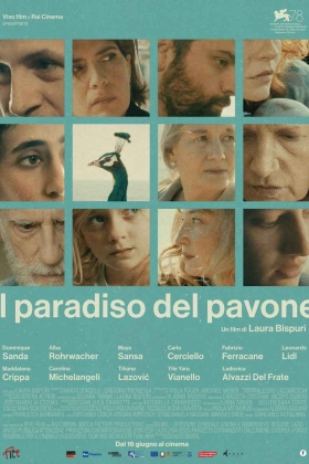 The Peacock’s Paradise