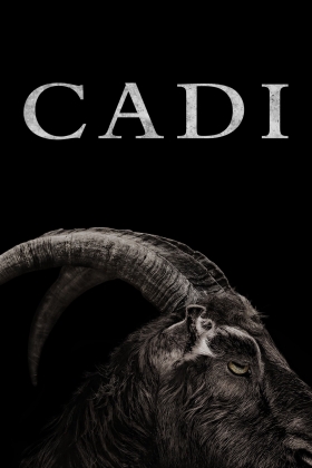 The VVitch: A New-England Folktale