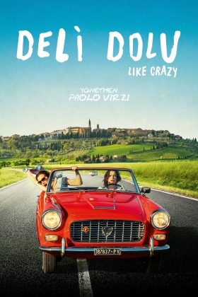 La pazza gioia