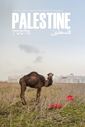 Palestine 36