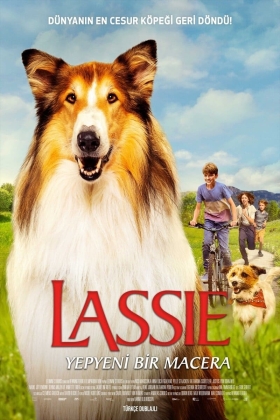 Lassie: A New Adventure