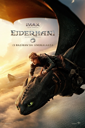 How to Train Your Dragon 2025