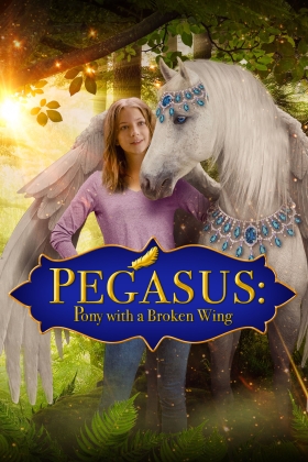 Pony with a Broken Wing