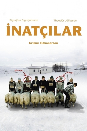 Hrútar