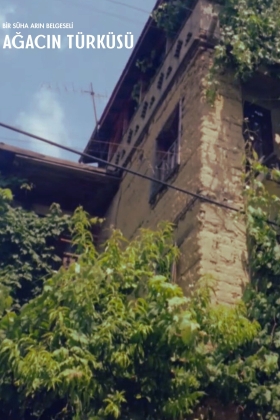 Ağacın Türküsü