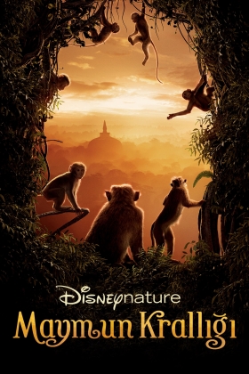 Monkey Kingdom