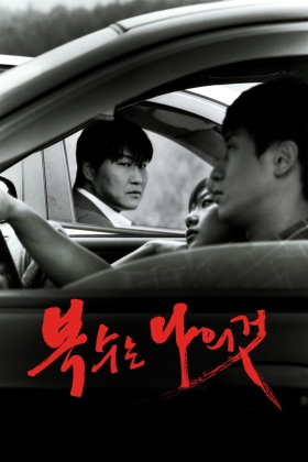 Boksuneun naui geot