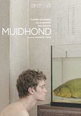 Tench