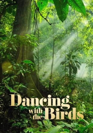 Dancing with the Birds