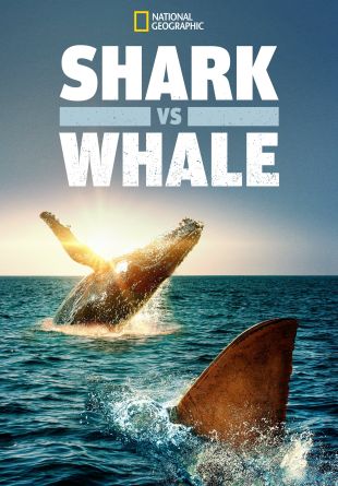 Shark Vs. Whale