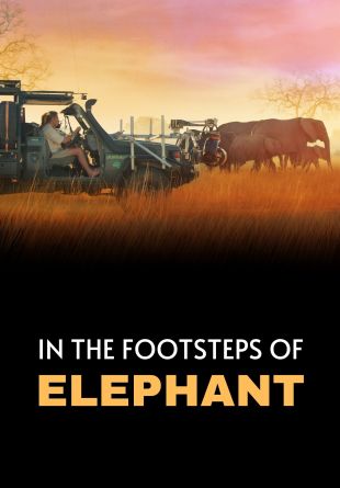 In the Footsteps of Elephant