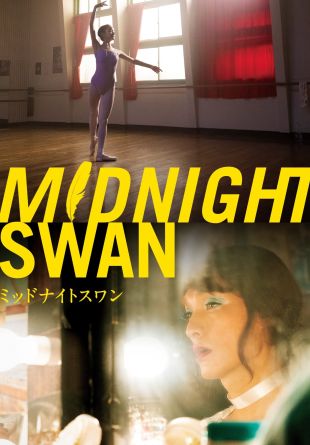Midnight Swan