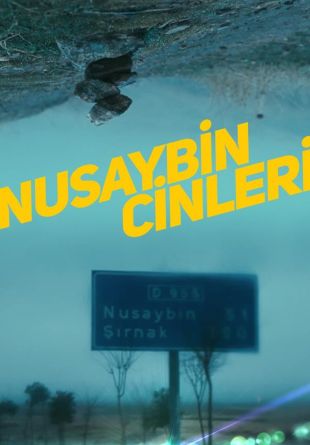 Nusaybin Cinleri