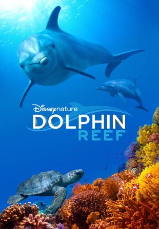 Dolphin Reef
