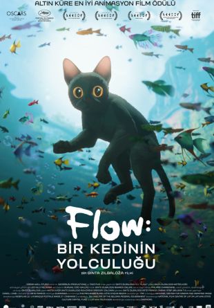 Flow