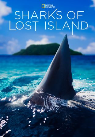 Sharks of Lost Island