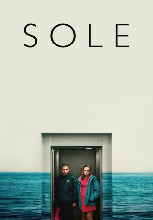 Sole