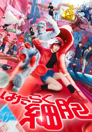 Cells at Work!