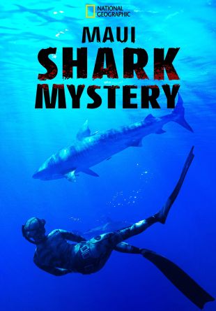 Maui Shark Mystery