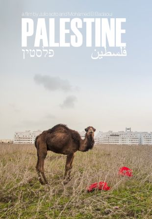 Palestine 36