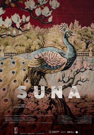 Suna