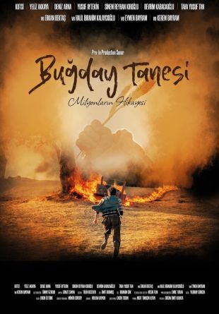 Bugday Tanesi