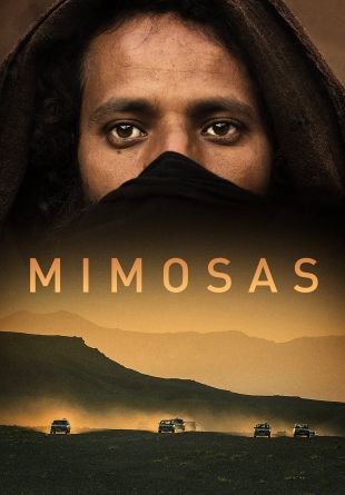 Mimosas