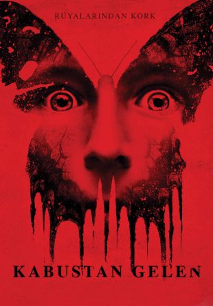 Before I Wake