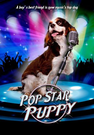 Pop Star Puppy