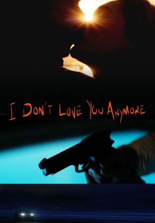 I Don't Love You Anymore