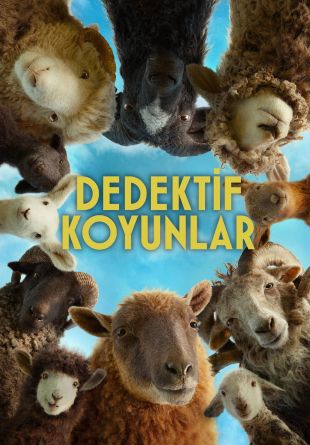 The Sheep Detectives