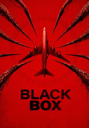 Black Box (Flight 298)