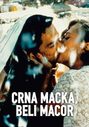 Crna macka, beli macor