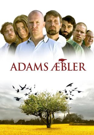 Adams æbler