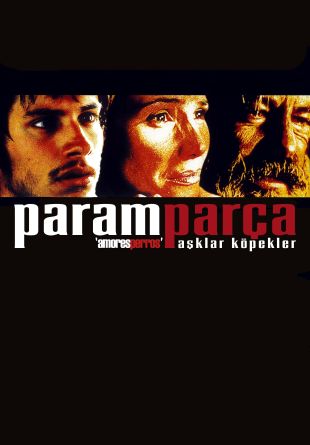 Amores perros