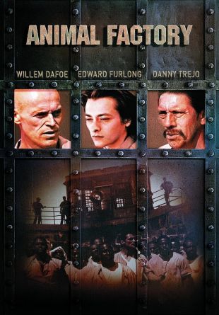 Animal Factory