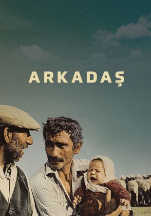 Arkadaş