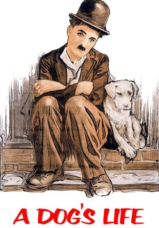 A Dog's Life
