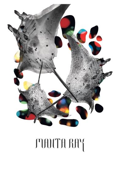 Manta Ray Fragman