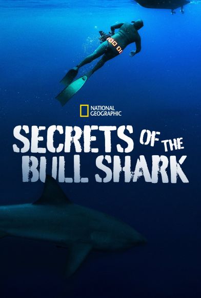 Secrets of the Bull Shark Fragman