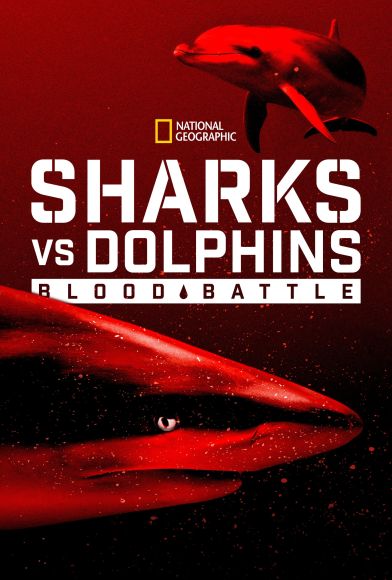 Sharks vs. Dolphins: Blood Battle Fragman