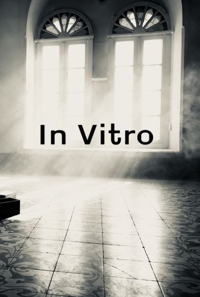 In Vitro Fragman