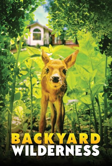 Backyard Wilderness Fragman